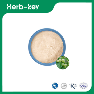 Amla Fruit Powder 
