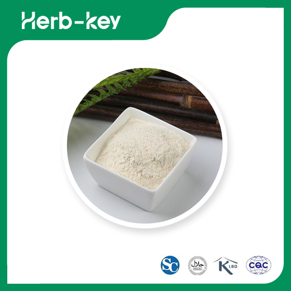 Suco de Cebola em Pó &nbsp;